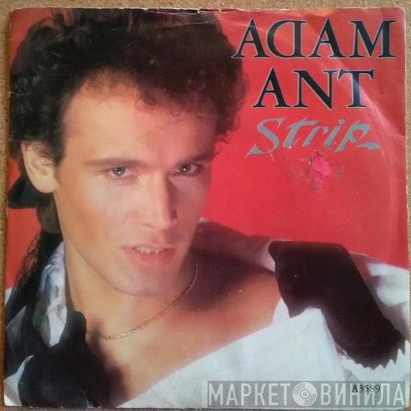  Adam Ant  - Strip