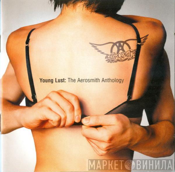  Aerosmith  - Young Lust: The Aerosmith Anthology