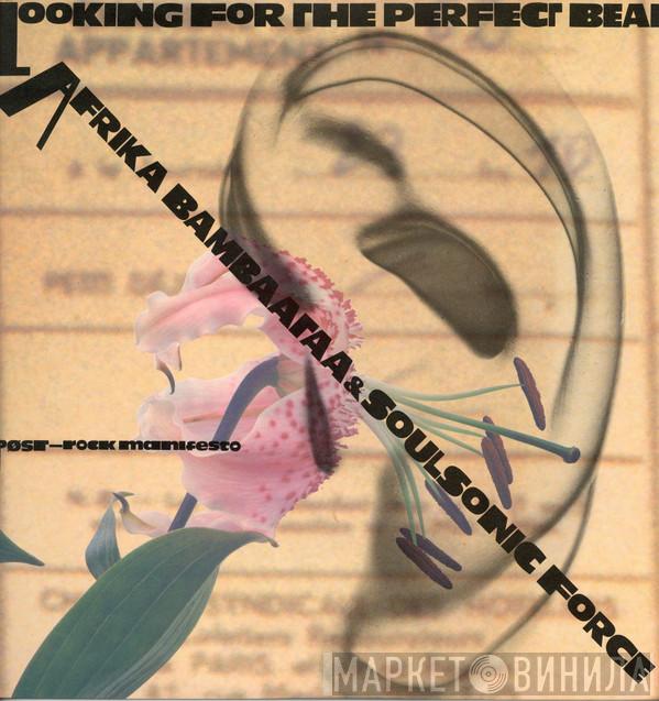  Afrika Bambaataa & Soulsonic Force  - Looking For The Perfect Beat