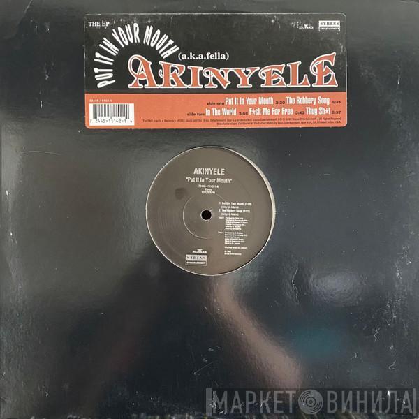  Akinyele  - Put It In Your Mouth
