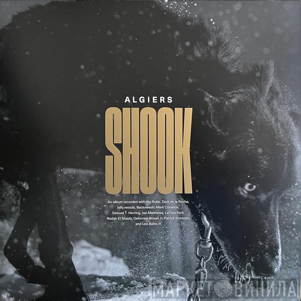 Algiers  - Shook