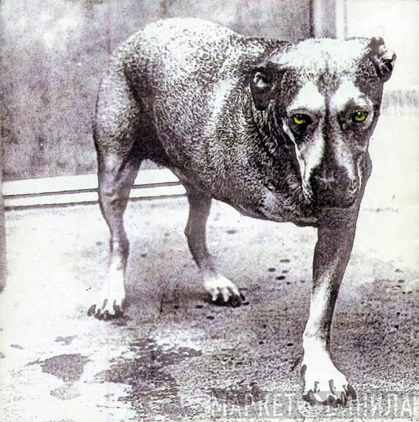  Alice In Chains  - Alice In Chains
