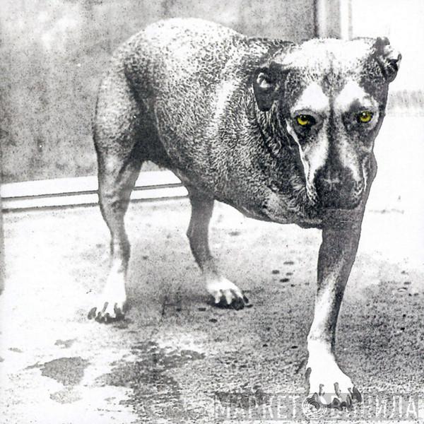  Alice In Chains  - Alice In Chains