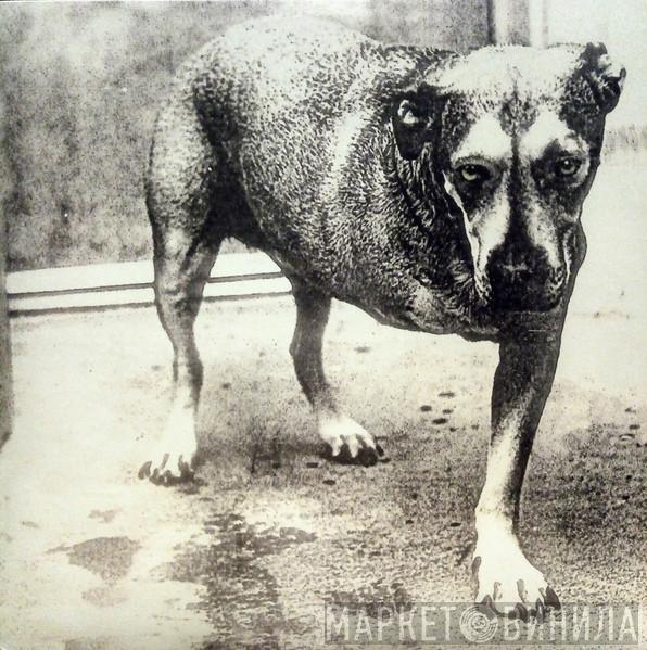  Alice In Chains  - Alice In Chains