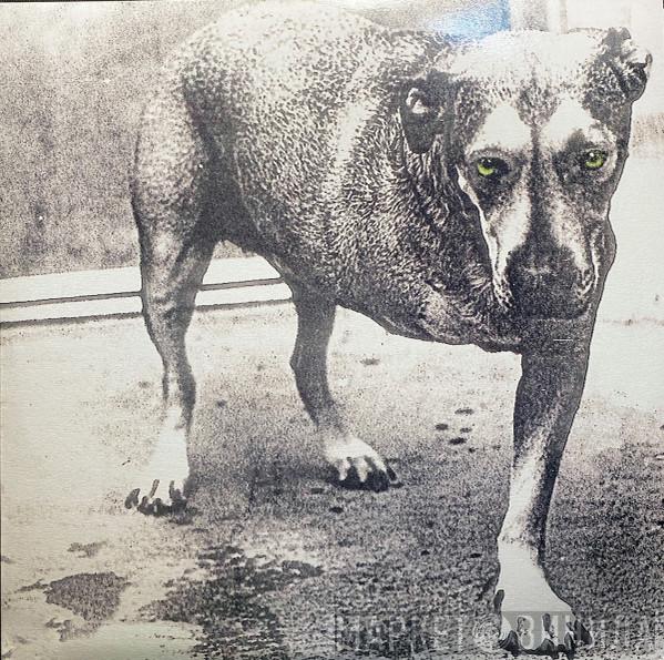  Alice In Chains  - Alice In Chains
