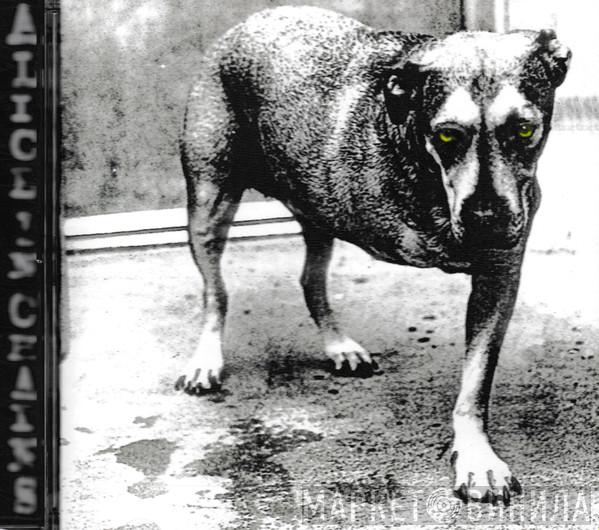  Alice In Chains  - Alice In Chains