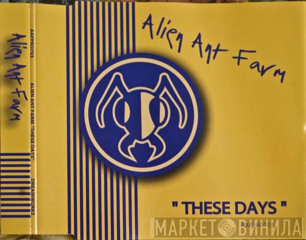  Alien Ant Farm  - These Days