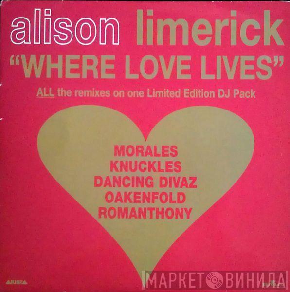 Alison Limerick - Where Love Lives (Limited Edition DJ Pack)