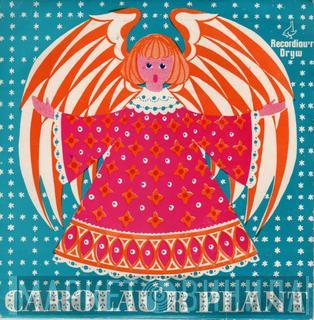 Allan Tillman - Carolau'r Plant