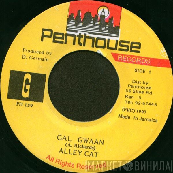 Alley Cat  - Gal Gwaan