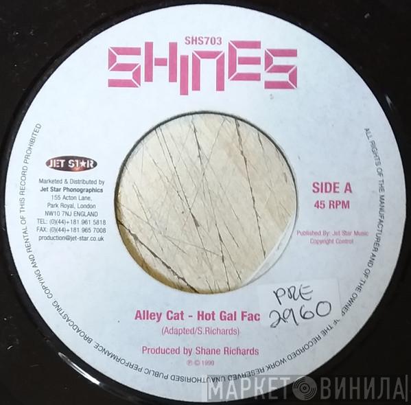 Alley Cat  - Hot Gal Face