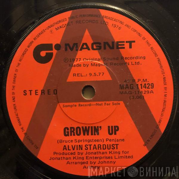  Alvin Stardust  - Growin' Up