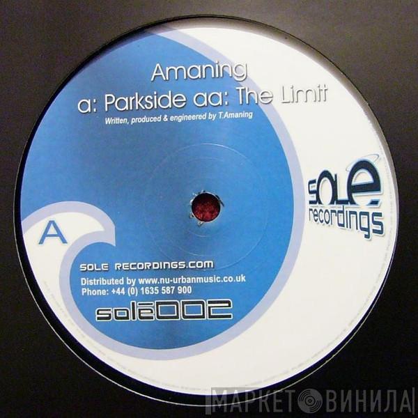 Amaning - Parkside / The Limit