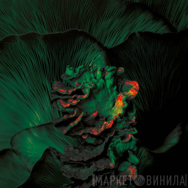 Ameli Paul - Mycelia