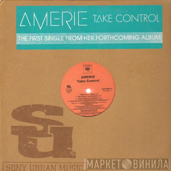  Amerie  - Take Control / That's What U R