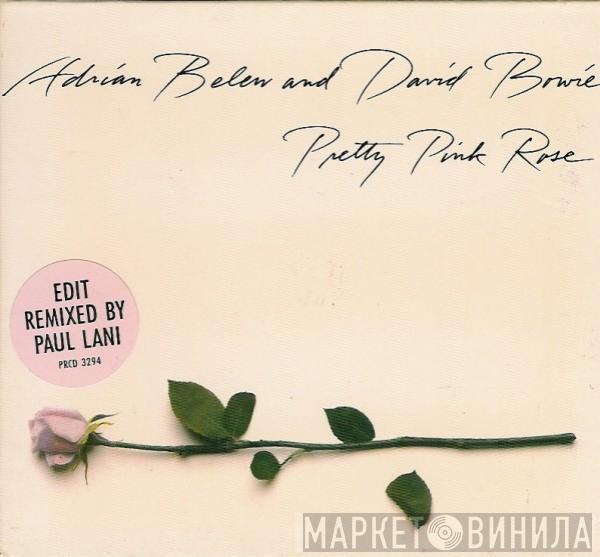 And Adrian Belew  David Bowie  - Pretty Pink Rose