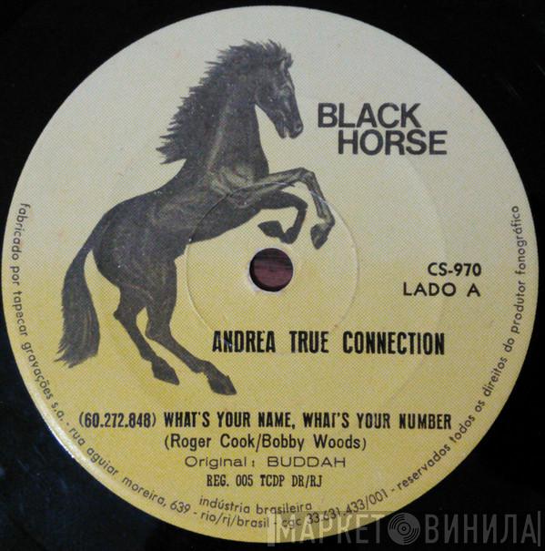  Andrea True Connection  - What's Your Name, What's Your Number
