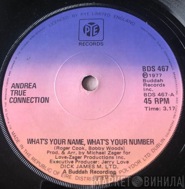  Andrea True Connection  - What's Your Name, What's Your Number