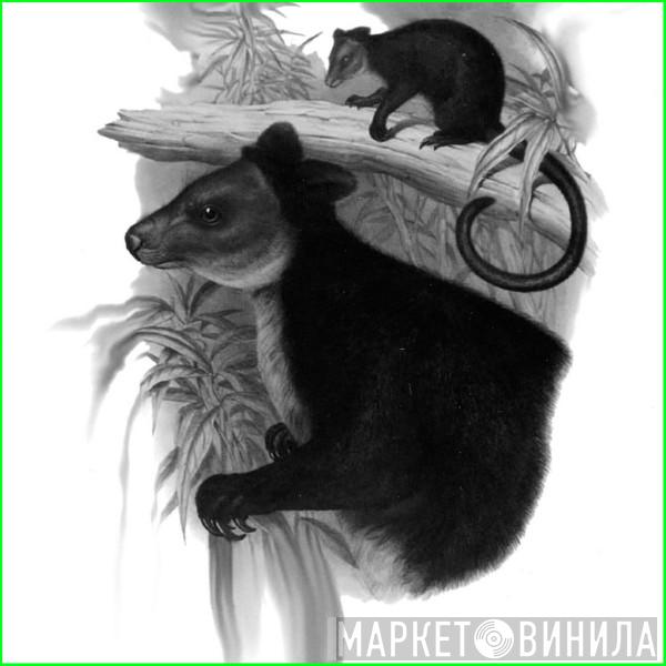  Andrew Liles  - Mother Goose's Melody: Or Sonnets For The Cradle : Alternative Mastering
