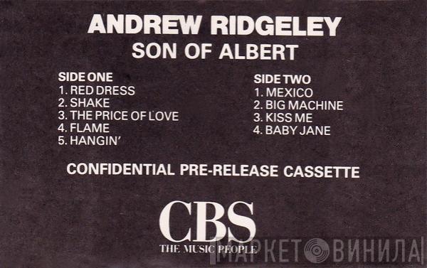  Andrew Ridgeley  - Son Of Albert