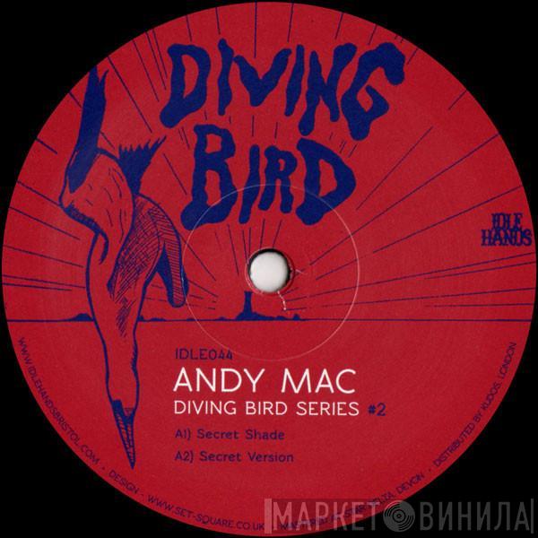 Andy Mac  - Diving Bird Series #2