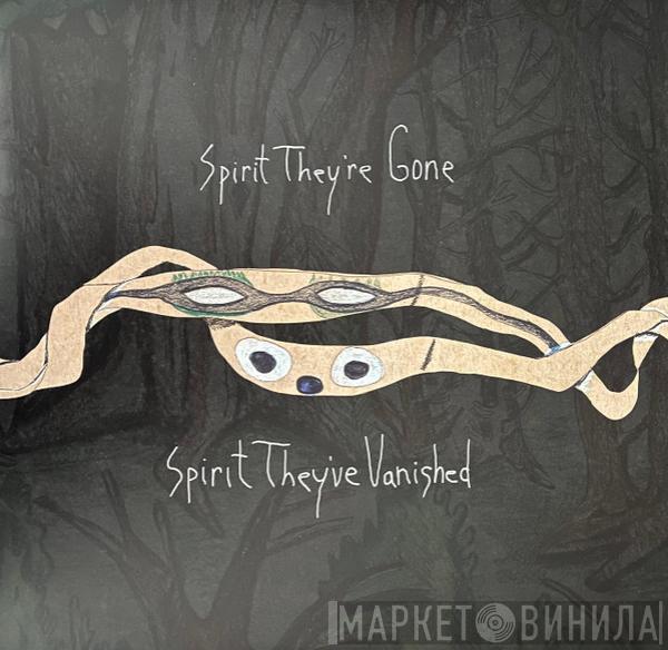Animal Collective - Spirit They're Gone Spirit They've Vanished