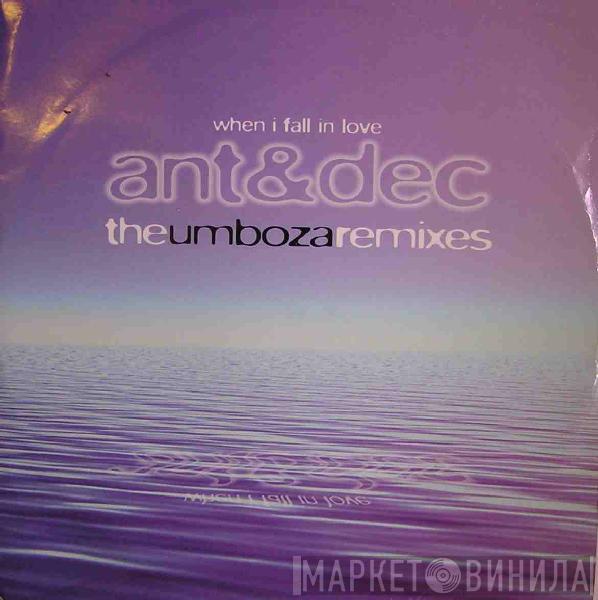 Ant & Dec - When I Fall In Love (The Umboza Remixes)