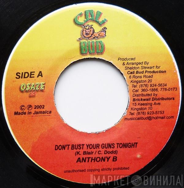 Anthony B, Flash  - Don't Bust Your Guns Tonight / Not Because We Hada Fight