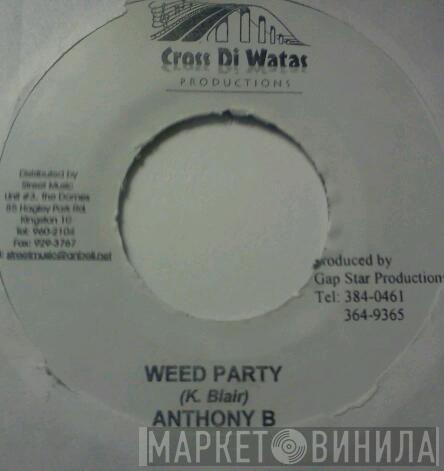 Anthony B - Weed Party
