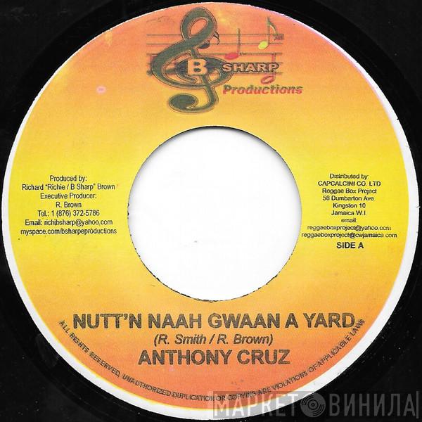 Anthony Cruz - Nutt'n Naah Gwaan A Yard