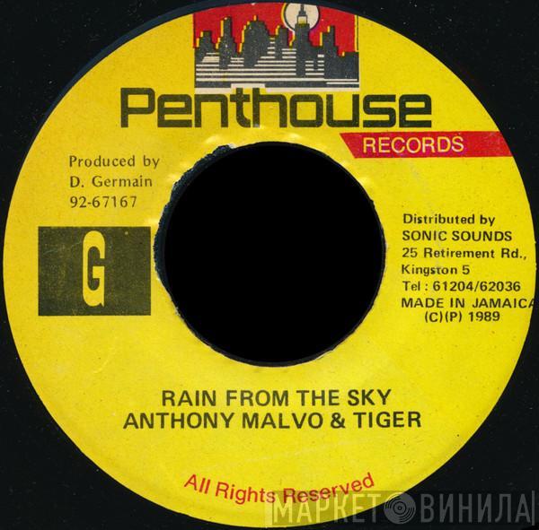 Anthony Malvo, Tiger - Rain From The Sky