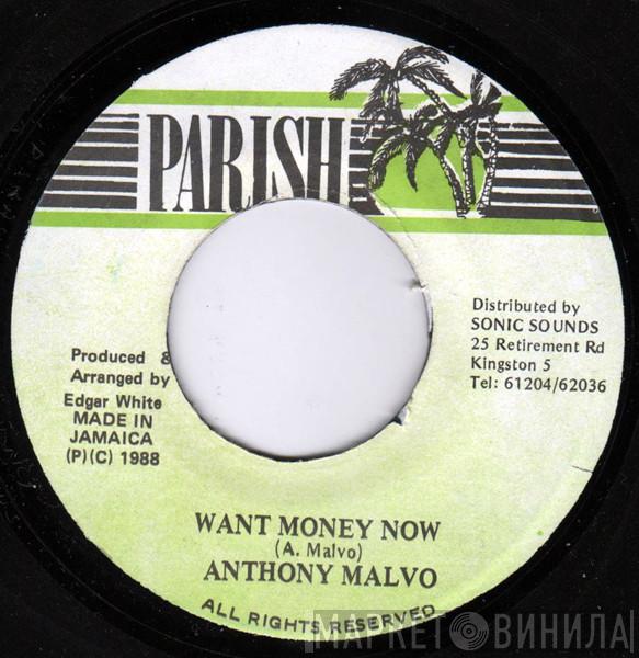 Anthony Malvo  - Want Money Now
