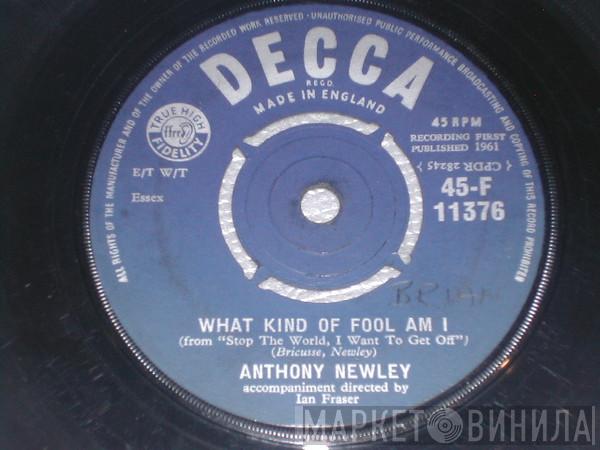 Anthony Newley - What Kind Of Fool Am I / Once In A Lifetime