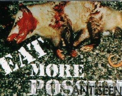  Antiseen  - Eat More Possum