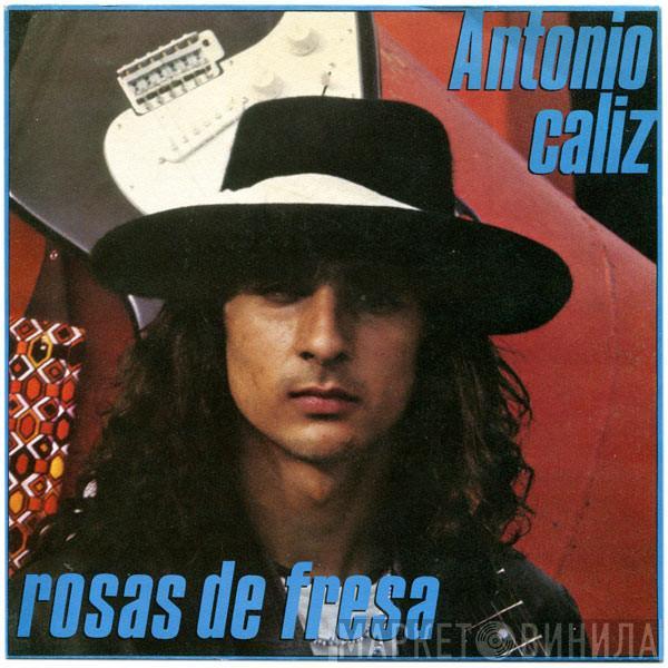 Antonio Flores - Caliz / Rosas De Fresa