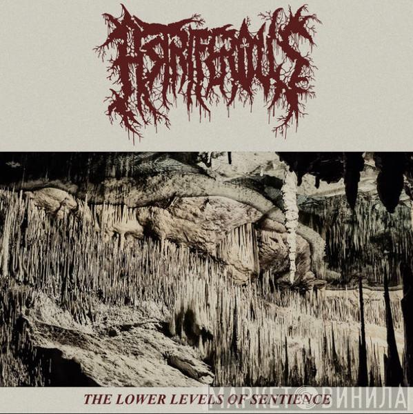 Astriferous - The Lower Levels Of Sentience