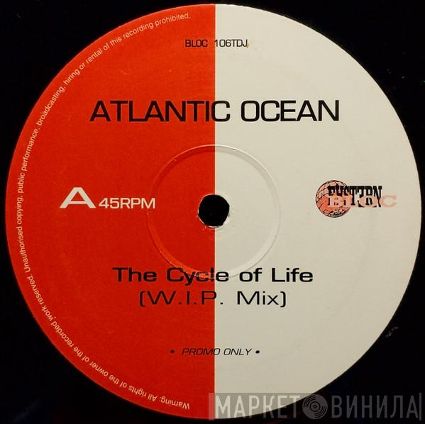  Atlantic Ocean  - The Cycle Of Life