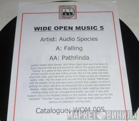 Audio Species - Falling / Pathfinda