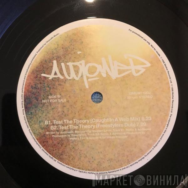 Audioweb - Test The Theory
