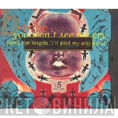  B-Tribe  - You Won't See Me Cry (Theme From Vangelis "I'll Find My Way Home")