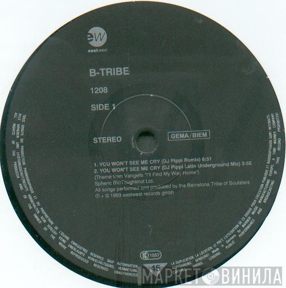  B-Tribe  - You Won't See Me Cry