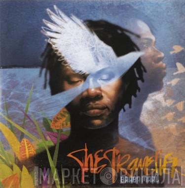  Baaba Maal  - The Traveller