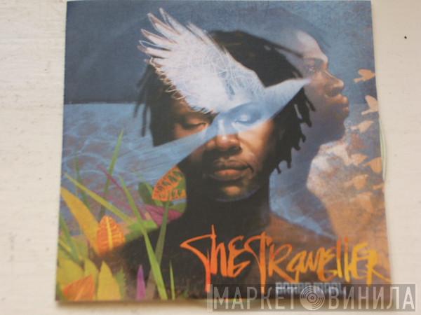  Baaba Maal  - The Traveller