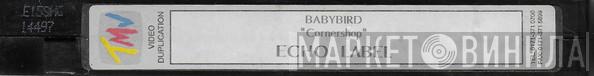  Babybird  - Cornershop