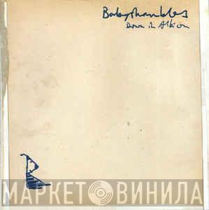  Babyshambles  - Down In Albion