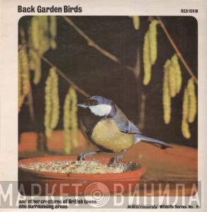  - Back Garden Birds