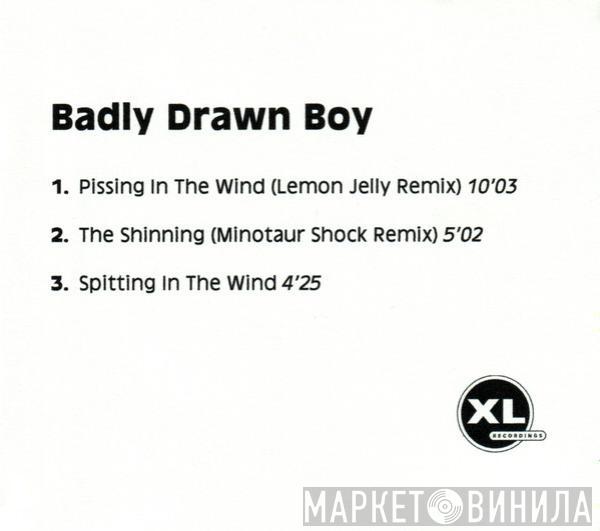  Badly Drawn Boy  - Pissing In The Wind