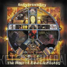 Badly Drawn Boy - The Hour Of Bewilderbeast