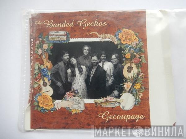 Banded Geckos - Gecoupage
