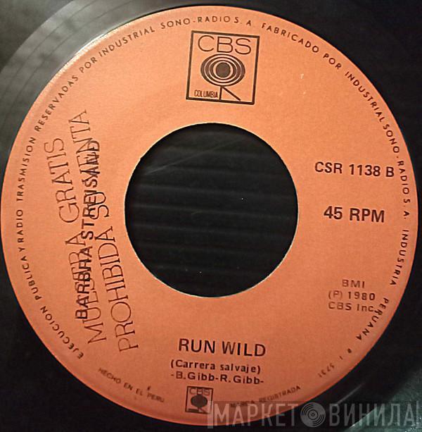  Barbra Streisand  - Woman In Love / Run Wild